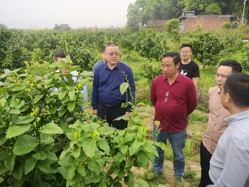 天游ty8检测中心官方登录：何福林率博士团赴邑口村开展服务 助力乡村振兴