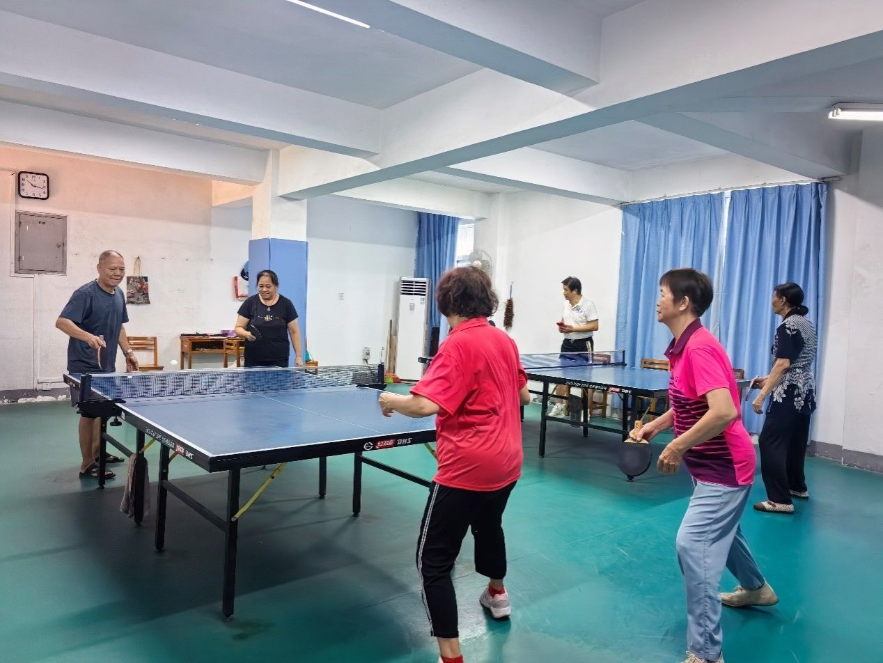 26338