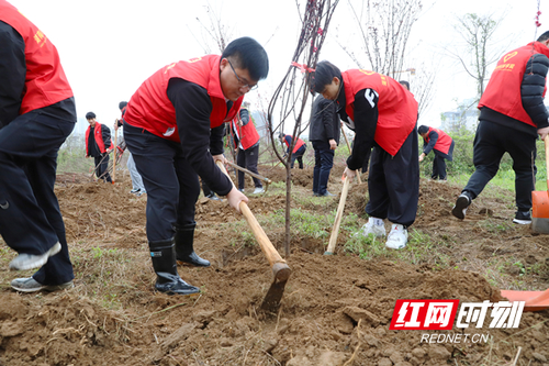 微信图片_202303210915401.jpg 微信图片_202303210915401.jpg