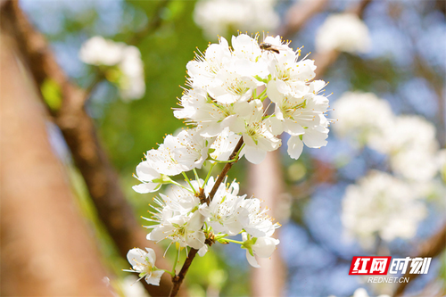 1678843047229-xx9j76ropy